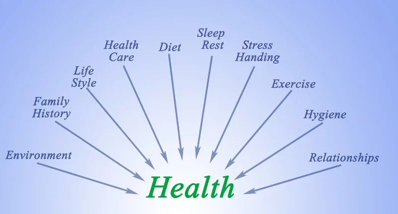 What are the Six Components of Health?
